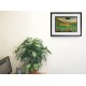 Parkhead Stadium New Fine Art Print - Celtic FC
